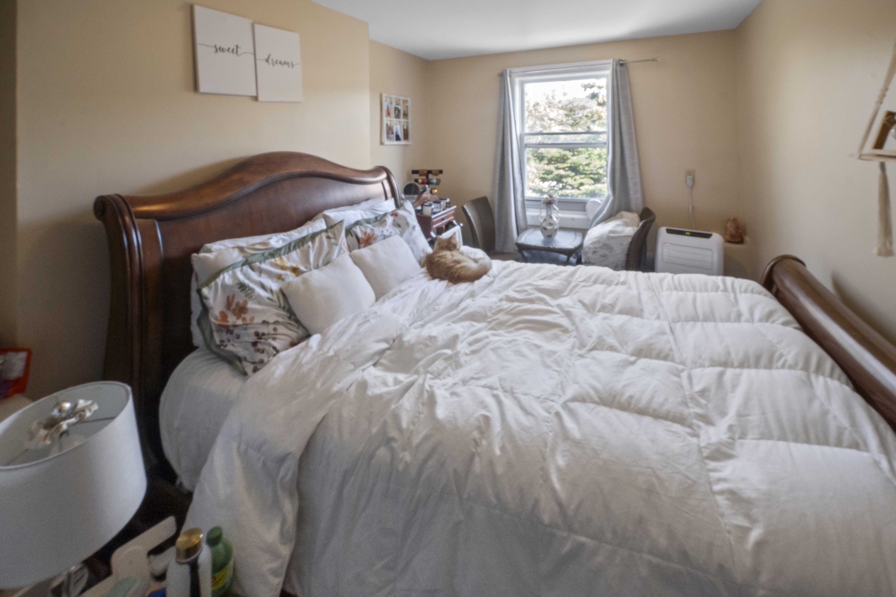 203 Gower Street - 3